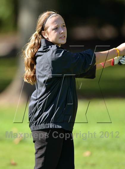 Thumbnail 1 in PIAA Girls Golf Championships photogallery.