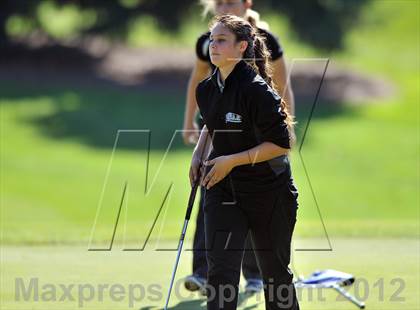 Thumbnail 3 in PIAA Girls Golf Championships photogallery.