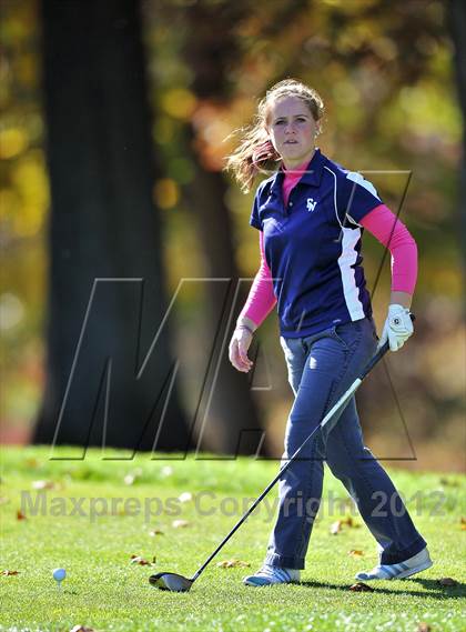 Thumbnail 1 in PIAA Girls Golf Championships photogallery.