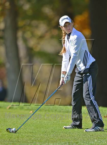 Thumbnail 3 in PIAA Girls Golf Championships photogallery.