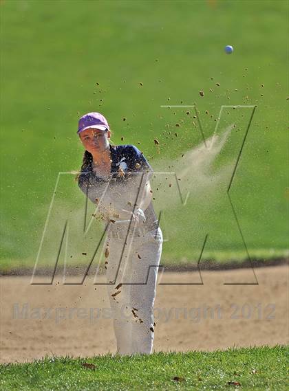 Thumbnail 1 in PIAA Girls Golf Championships photogallery.