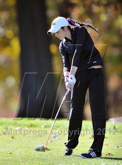 Thumbnail 2 in PIAA Girls Golf Championships photogallery.