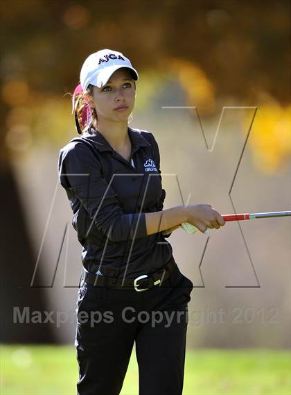 Thumbnail 1 in PIAA Girls Golf Championships photogallery.
