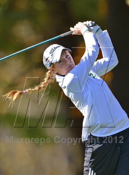 Thumbnail 1 in PIAA Girls Golf Championships photogallery.