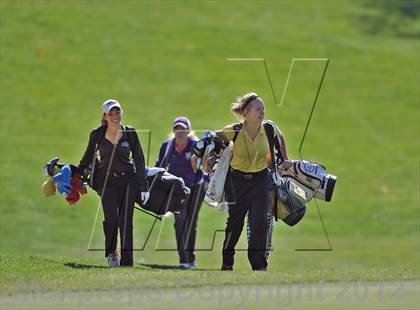 Thumbnail 3 in PIAA Girls Golf Championships photogallery.