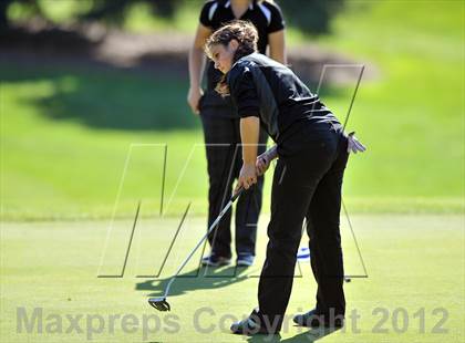 Thumbnail 2 in PIAA Girls Golf Championships photogallery.