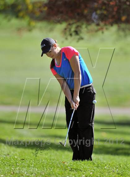 Thumbnail 2 in PIAA Girls Golf Championships photogallery.