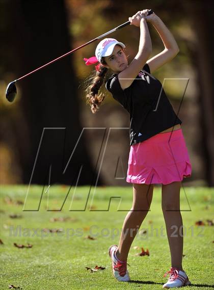 Thumbnail 1 in PIAA Girls Golf Championships photogallery.