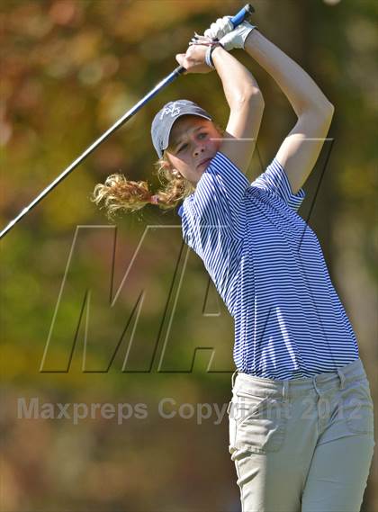 Thumbnail 2 in PIAA Girls Golf Championships photogallery.