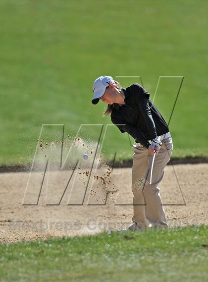 Thumbnail 1 in PIAA Girls Golf Championships photogallery.