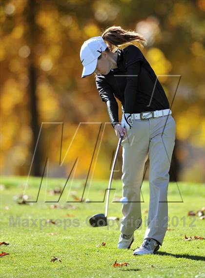 Thumbnail 2 in PIAA Girls Golf Championships photogallery.
