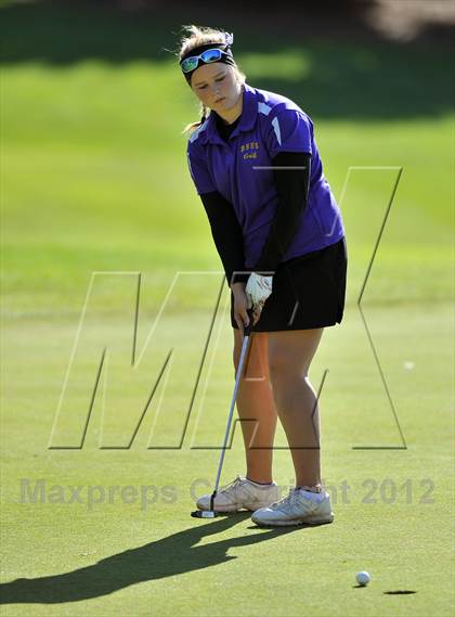 Thumbnail 2 in PIAA Girls Golf Championships photogallery.