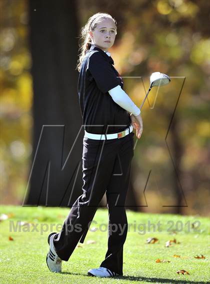 Thumbnail 1 in PIAA Girls Golf Championships photogallery.