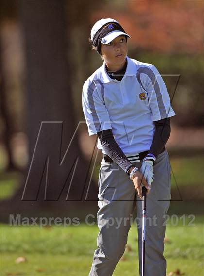 Thumbnail 2 in PIAA Girls Golf Championships photogallery.