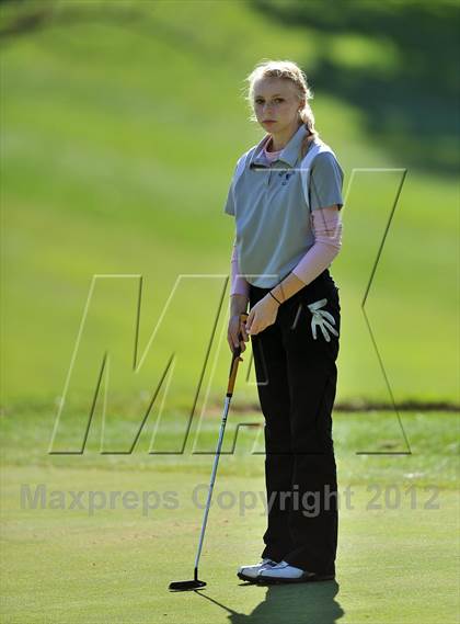 Thumbnail 1 in PIAA Girls Golf Championships photogallery.