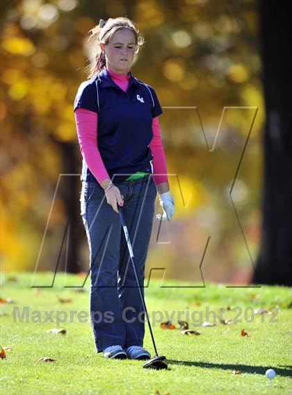 Thumbnail 2 in PIAA Girls Golf Championships photogallery.