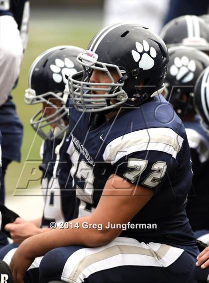 Thumbnail 3 in Rancho Cotate @ Marin Catholic (CIF NCS D3 Semifinal) photogallery.