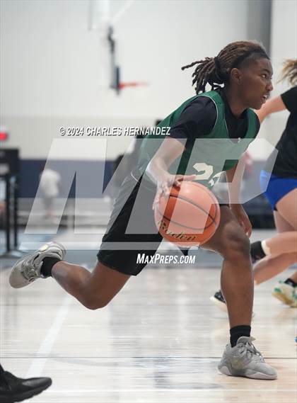 Thumbnail 3 in North Forney vs Ellison [C. E.] (Texas Association of Basketball Coaches Showcase) photogallery.