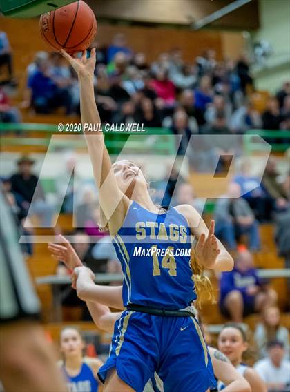 Thumbnail 2 in Deer Park @ Elma (WIAA 1A Regional Playoff) photogallery.
