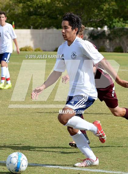 Thumbnail 3 in Adelson vs Pahrump Valley photogallery.