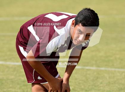 Thumbnail 3 in Adelson vs Pahrump Valley photogallery.