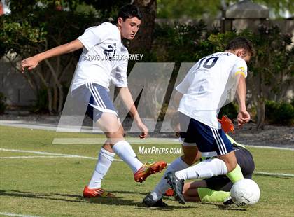 Thumbnail 3 in Adelson vs Pahrump Valley photogallery.