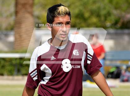 Thumbnail 2 in Adelson vs Pahrump Valley photogallery.