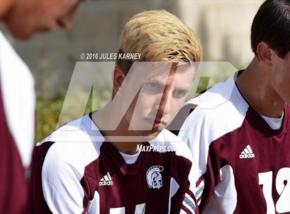 Thumbnail 2 in Adelson vs Pahrump Valley photogallery.