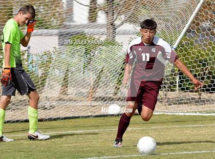 Thumbnail 3 in Adelson vs Pahrump Valley photogallery.