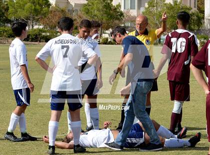 Thumbnail 3 in Adelson vs Pahrump Valley photogallery.