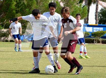 Thumbnail 3 in Adelson vs Pahrump Valley photogallery.