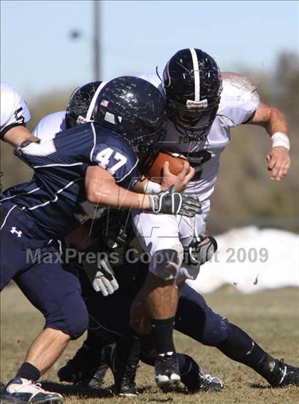 Thumbnail 2 in Columbine vs. Pomona photogallery.