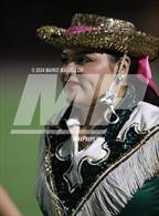 Photo from the gallery "Rowe @ Mission"