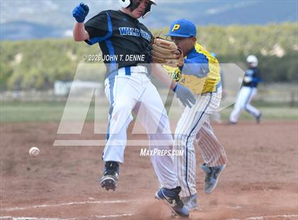 Thumbnail 2 in Questa @ Penasco photogallery.