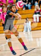 Photo from the gallery "McClatchy @ Laguna Creek"