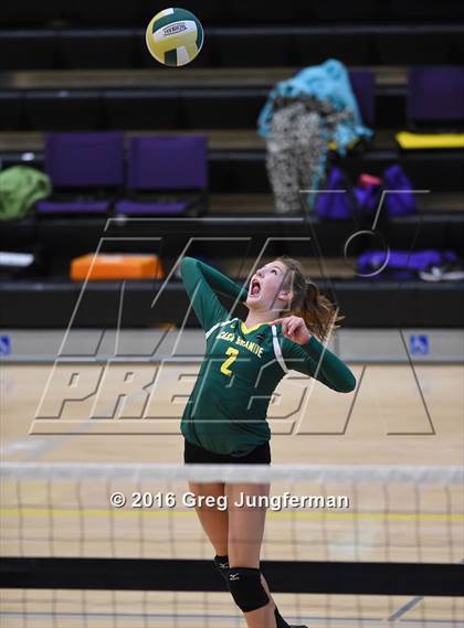 Thumbnail 1 in Casa Grande vs. California School for the Deaf (Nor-Cal Invitational) photogallery.