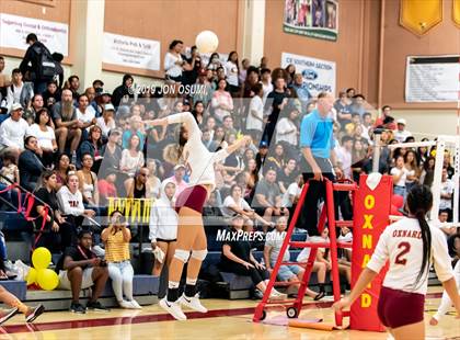 Thumbnail 1 in Ventura @ Oxnard photogallery.