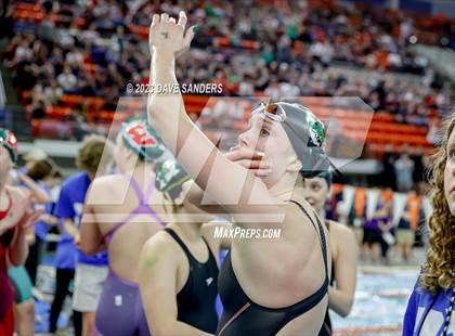 Thumbnail 1 in UIL 6A State Varsity Swim & Dive Finals photogallery.