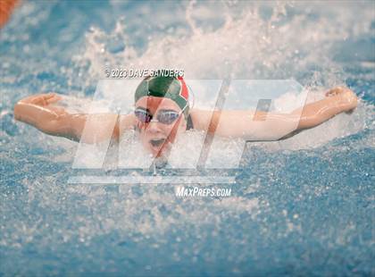 Thumbnail 2 in UIL 6A State Varsity Swim & Dive Finals photogallery.