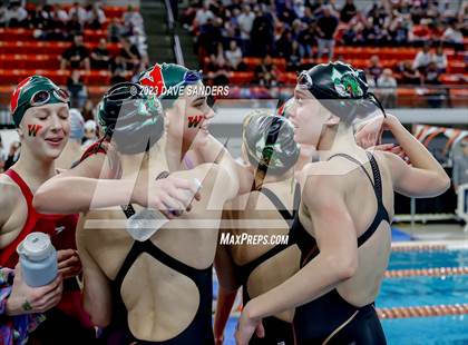Thumbnail 1 in UIL 6A State Varsity Swim & Dive Finals photogallery.