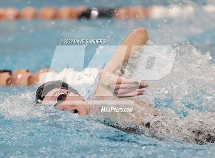 Thumbnail 3 in UIL 6A State Varsity Swim & Dive Finals photogallery.