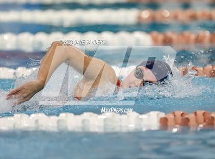 Thumbnail 3 in UIL 6A State Varsity Swim & Dive Finals photogallery.