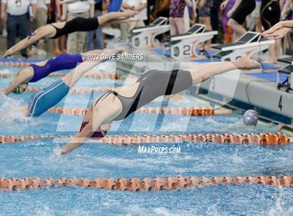 Thumbnail 3 in UIL 6A State Varsity Swim & Dive Finals photogallery.