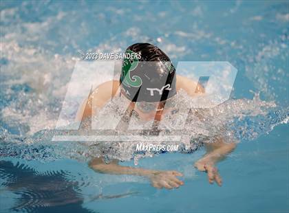 Thumbnail 1 in UIL 6A State Varsity Swim & Dive Finals photogallery.