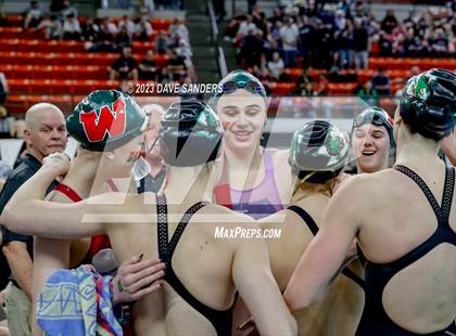 Thumbnail 3 in UIL 6A State Varsity Swim & Dive Finals photogallery.