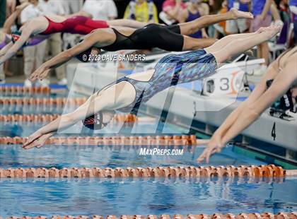 Thumbnail 1 in UIL 6A State Varsity Swim & Dive Finals photogallery.
