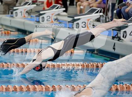 Thumbnail 1 in UIL 6A State Varsity Swim & Dive Finals photogallery.