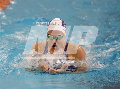 Thumbnail 1 in UIL 6A State Varsity Swim & Dive Finals photogallery.