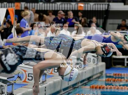 Thumbnail 1 in UIL 6A State Varsity Swim & Dive Finals photogallery.
