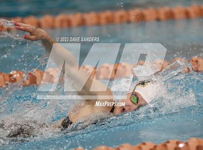 Thumbnail 3 in UIL 6A State Varsity Swim & Dive Finals photogallery.